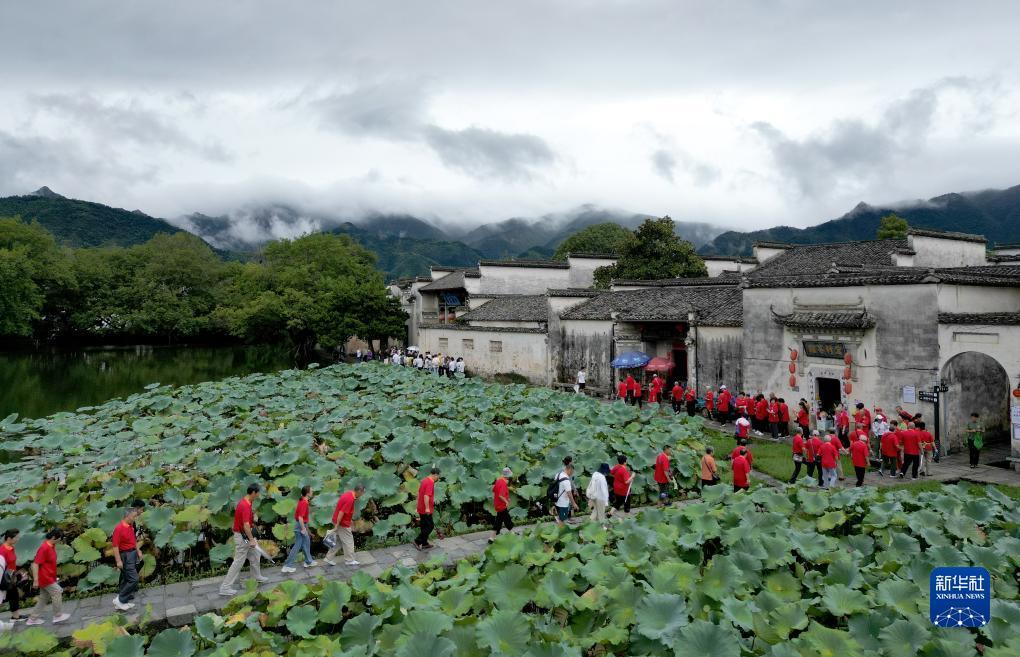 彩金官网游戏